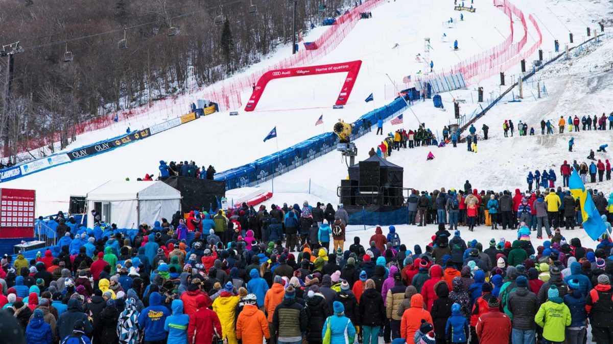 Kelly Brush Foundation