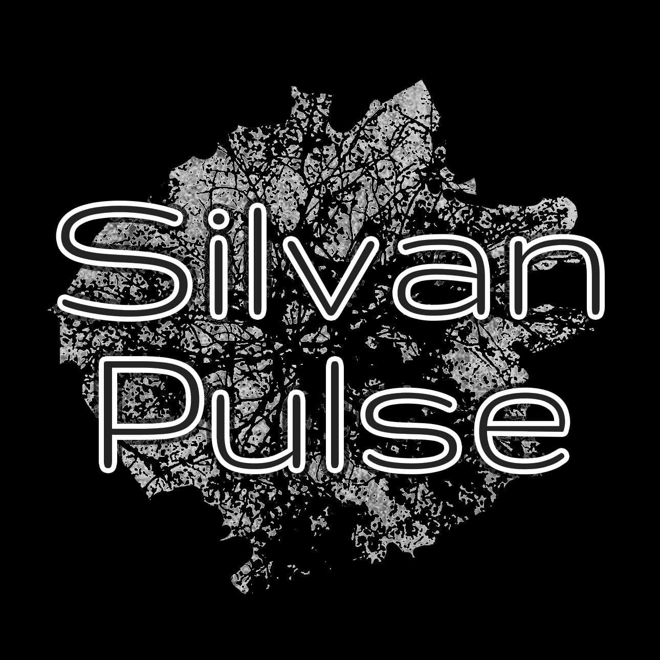 Tuesday Tunes: Silvan Pulse