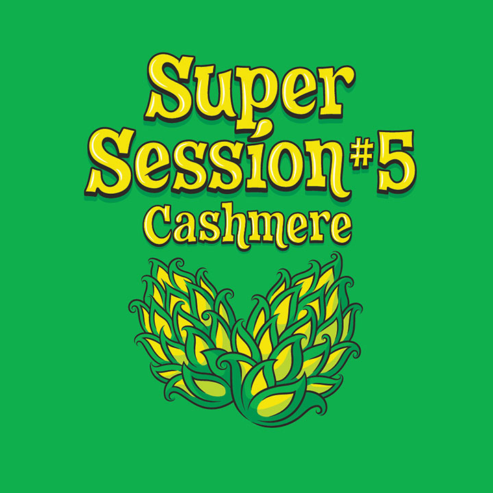 Super Session #5